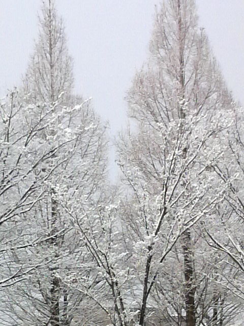 2010011309270001.jpg