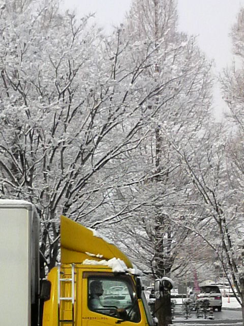 2010011309230001.jpg