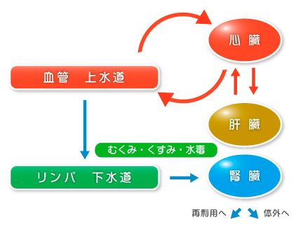 〔図１〕