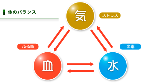 体のバランス 〔図2〕