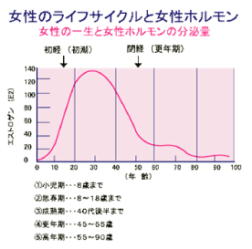 〔図２〕