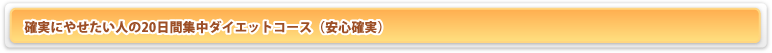 確実に痩せたい人の２０日間集中ダイエットコース(安心確実）