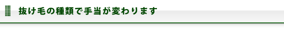 抜け毛の種類で手当が変わります