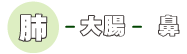 肺-大腸-鼻