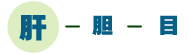 肝-胆-目