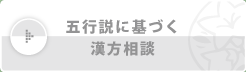 五行説に基づく漢方相談